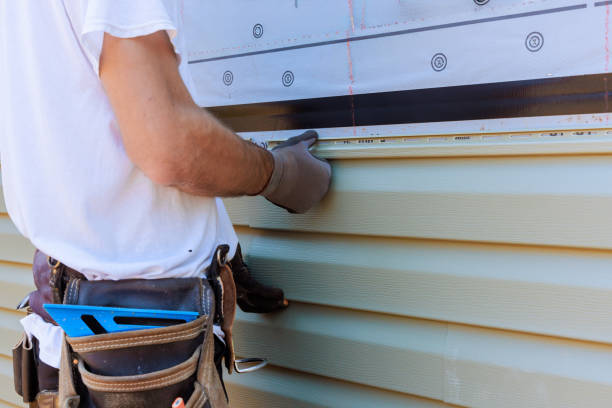Affordable Vinyl Siding solutions in Candor, NC